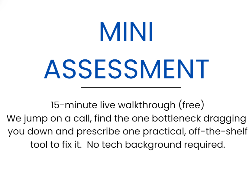 mini assessment